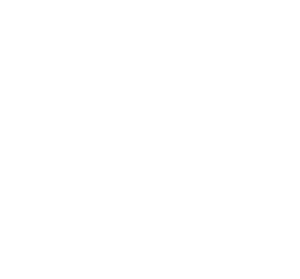 招標(biāo)與咨詢