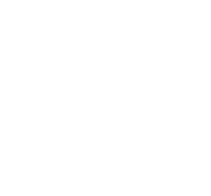 數(shù)字化服務(wù)