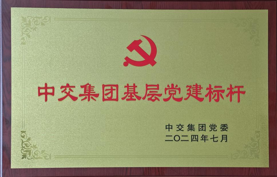 揚黨旗凝心聚力 謀發(fā)展提質(zhì)增效 以黨建標(biāo)桿創(chuàng)建推動基層工作再深化